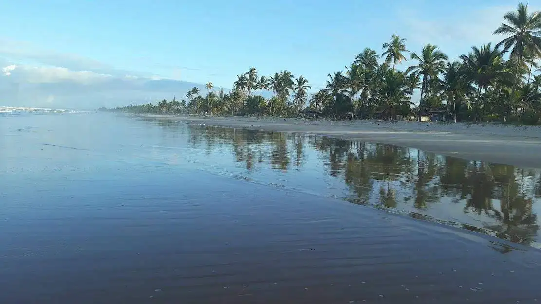 Scenic view of Saint George, Grenada with lush greenery and water bodies.