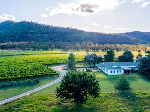 Vineyard estate featuring two stunning homes in Broke, surrounded by lush vineyards and scenic mount.