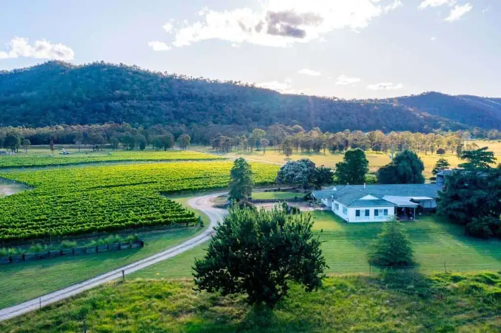 Vineyard Estate with Two Homes for Sale Vineyard estate featuring two stunning homes in Broke, surrounded by lush vineyards and scenic mount.