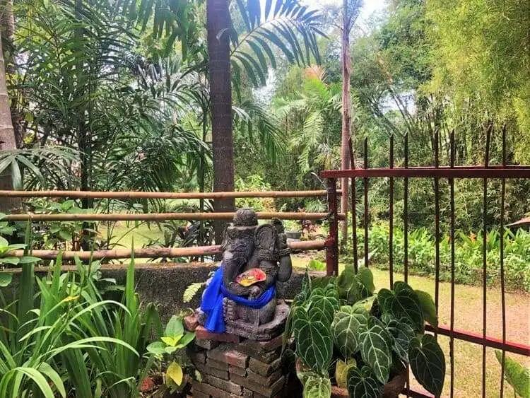 Spacious land for sale in Bali with vibrant plant life and natural surroundings.