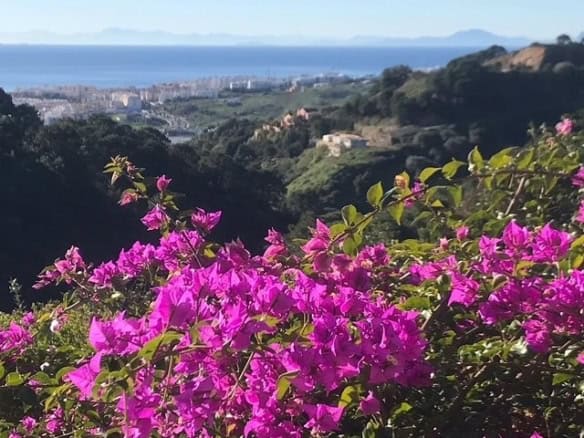 Beautiful view of the coast and lush greenery from La Casa de la Panzona finca in Estepona.