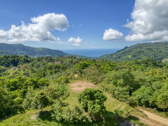 Beautiful lush green tropical mountain scenery with clear blue sky and distant ocean view.