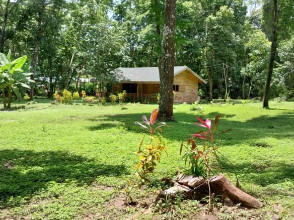 Modern wooden house surrounded by lush greenery in Vainilla, Costa Rica. Perfect for nature lovers s.