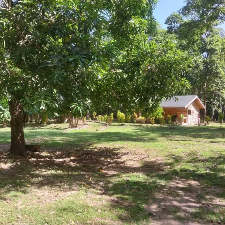 New homes for sale in Vainilla, Costa Rica, surrounded by lush greenery and nature.