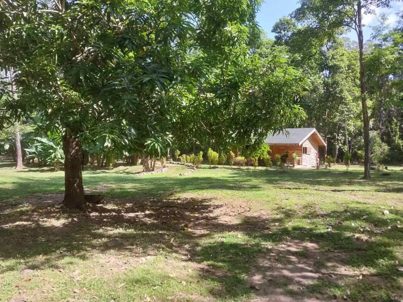 New homes for sale in Vainilla, Costa Rica, surrounded by lush greenery and nature.