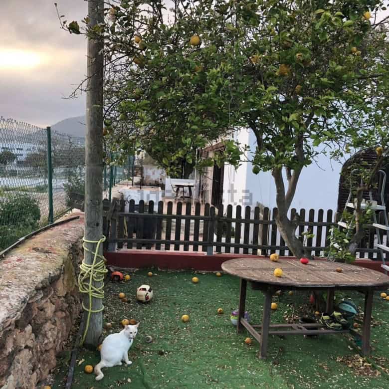 Villa estate with two houses for sale in Playa Den Bossa, Ibiza, featuring outdoor garden space and.