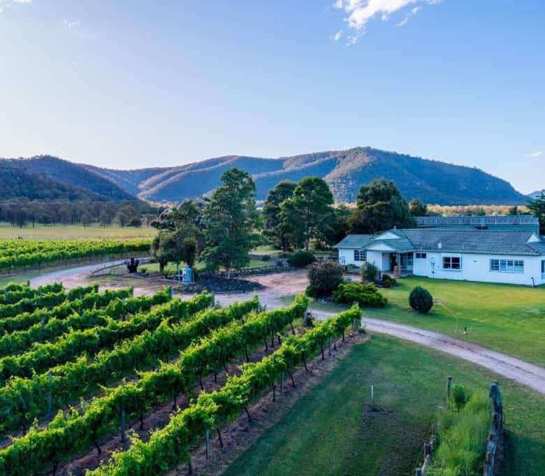Vineyard estate featuring two stunning homes for sale in Broke, surrounded by lush vineyards and sce.