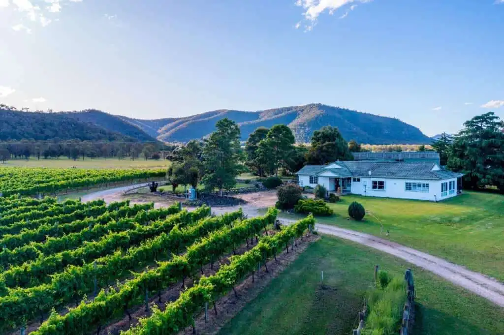Vineyard Estate with 2 Homes for Sale in Broke Vineyard estate featuring two stunning homes for sale in Broke, surrounded by lush vineyards and sce.