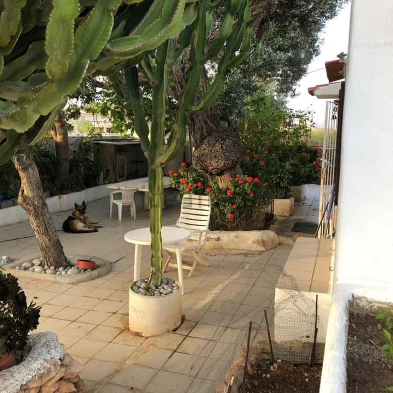 Beautiful outdoor area of villa estate featuring two houses in Playa Den Bossa, Ibiza, with lush gre.
