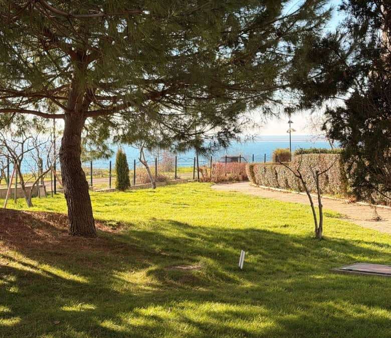 Sea view garden with trees and lawn at Marina Cape, Aheloy, Black Sea Coast.