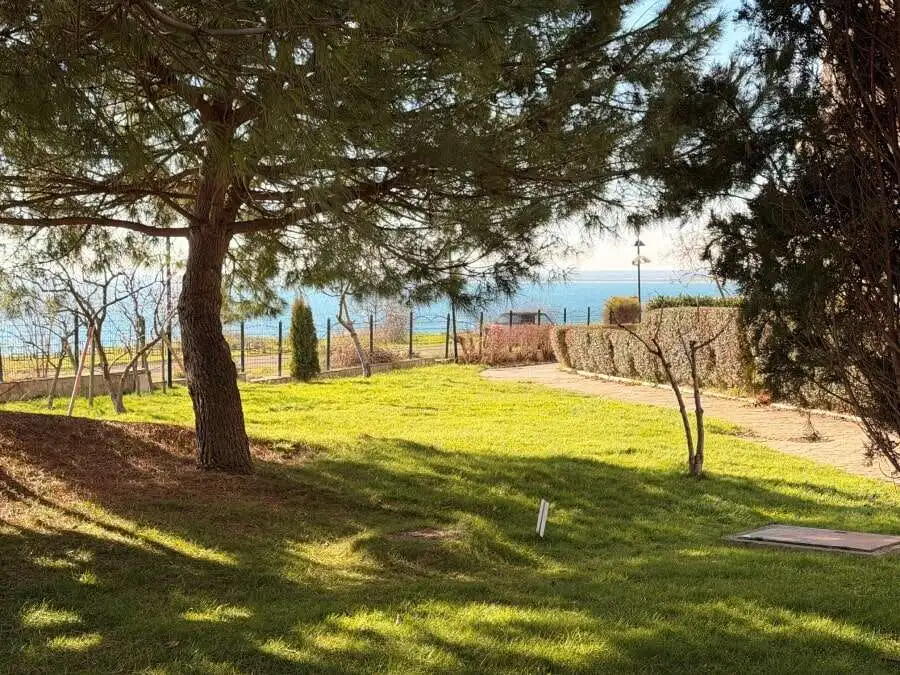Sea view garden with trees and lawn at Marina Cape, Aheloy, Black Sea Coast.