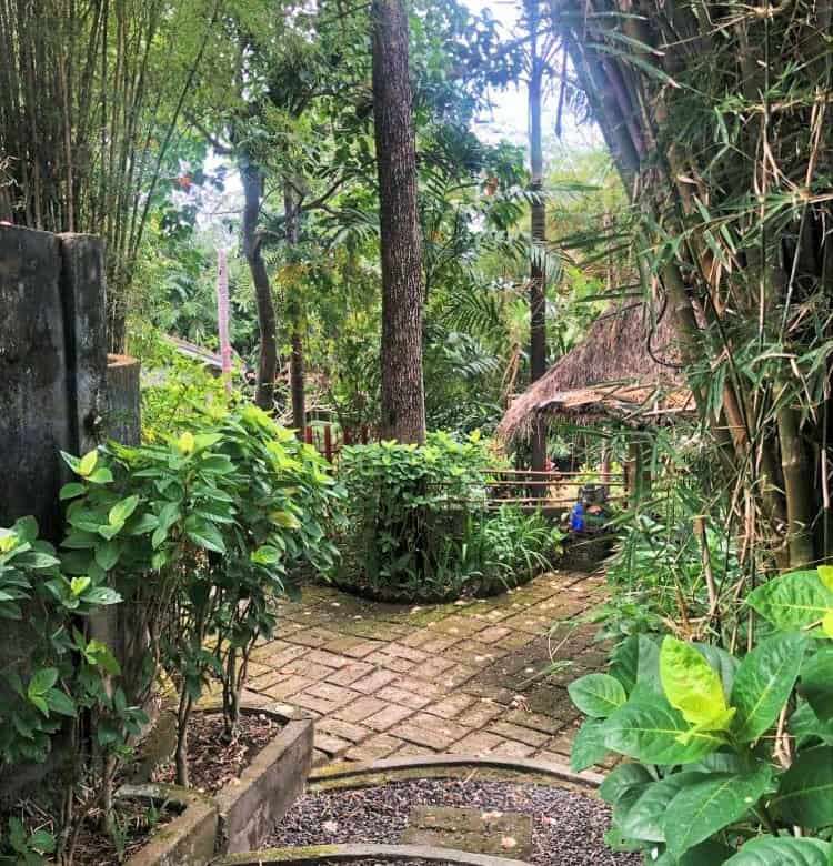 Excellent Plot of land for sale in Bali.
