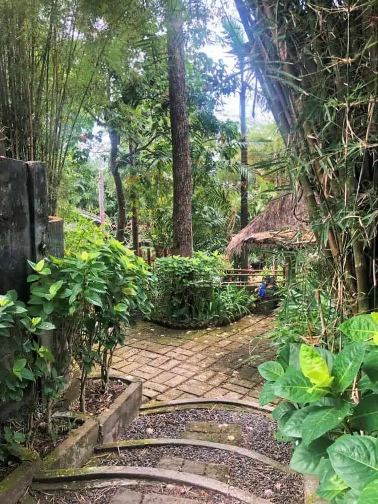 Excellent Plot of land for sale in Bali.