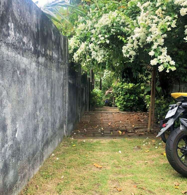 Beautiful Bali land plot with greenery, perfect for building your dream home or investment.