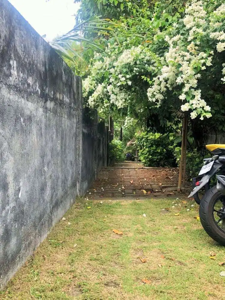 Beautiful Bali land plot with greenery, perfect for building your dream home or investment.