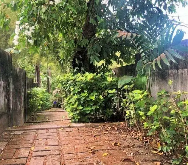 Beautiful Bali land plot with mature trees and garden, ideal for building your dream home.