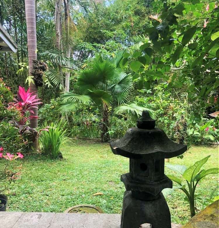 Beautiful tropical land plot in Bali with lush greenery and mature trees. Perfect for building a pri.