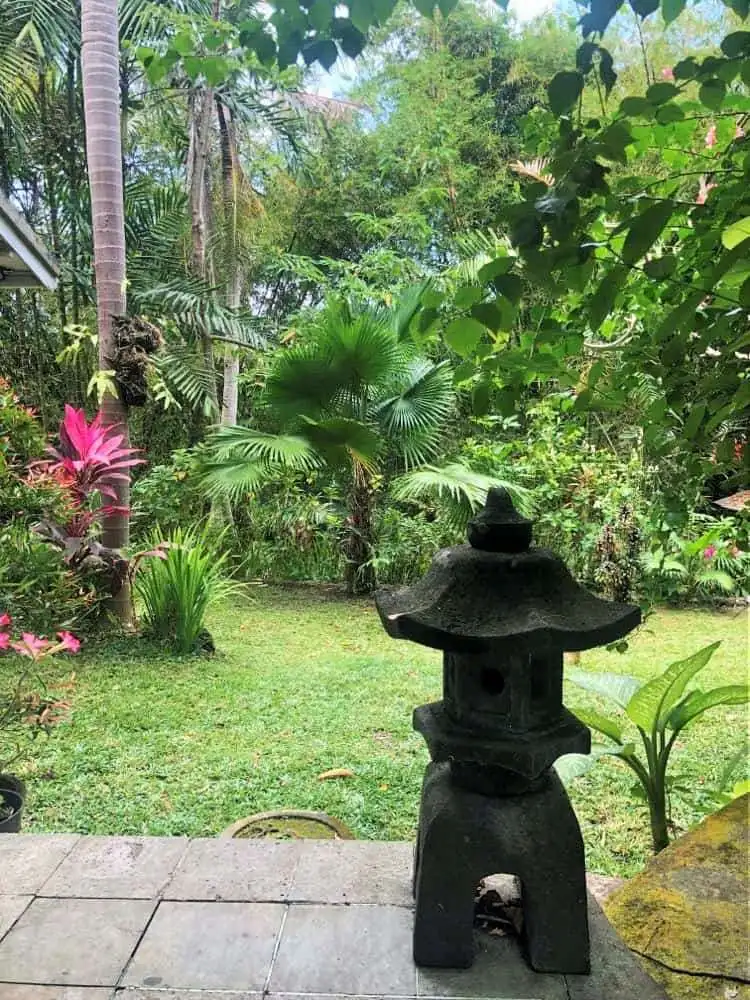 Beautiful tropical land plot in Bali with lush greenery and mature trees. Perfect for building a pri.