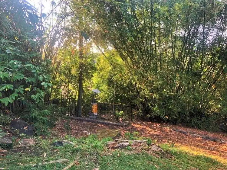 Bali land plot for sale with lush greenery and natural surroundings. Perfect for investment or build.