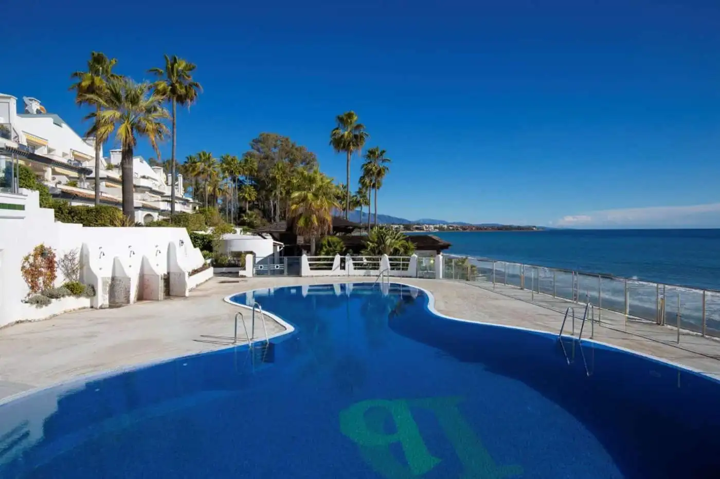 Beachfront pool with ocean view and palm trees at Dominion Beach.