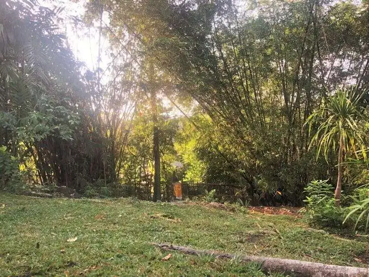 Beautiful Bali land plot ideal for investment or building your dream home.