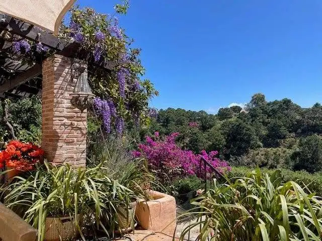 Beautiful garden view of La Casa de la Panzona finca in Estepona, Spain, featuring vibrant flowers a.