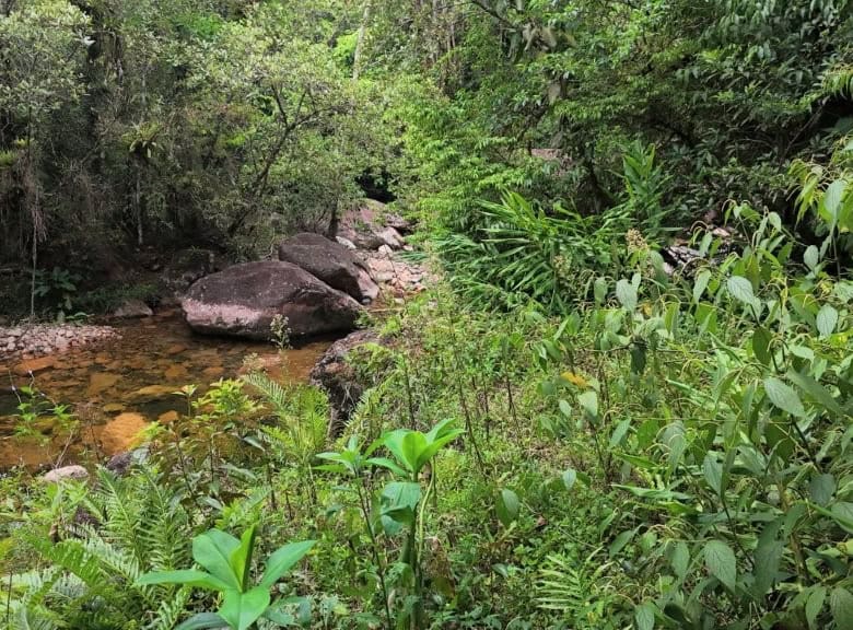 Scenic land with lush greenery and natural water stream in Pedra Branca do Araraquara, Paraná, Brazi.