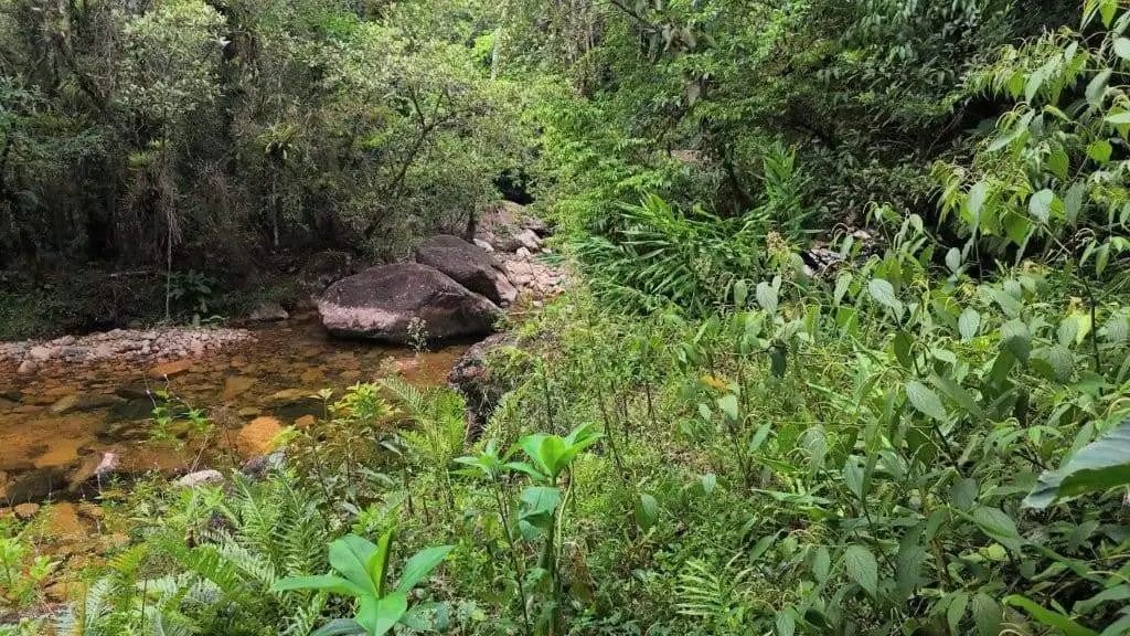Scenic land with lush greenery and natural water stream in Pedra Branca do Araraquara, Paraná, Brazi.