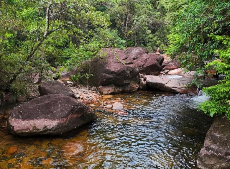Scenic view of lush greenery and river on a prime property for sale.