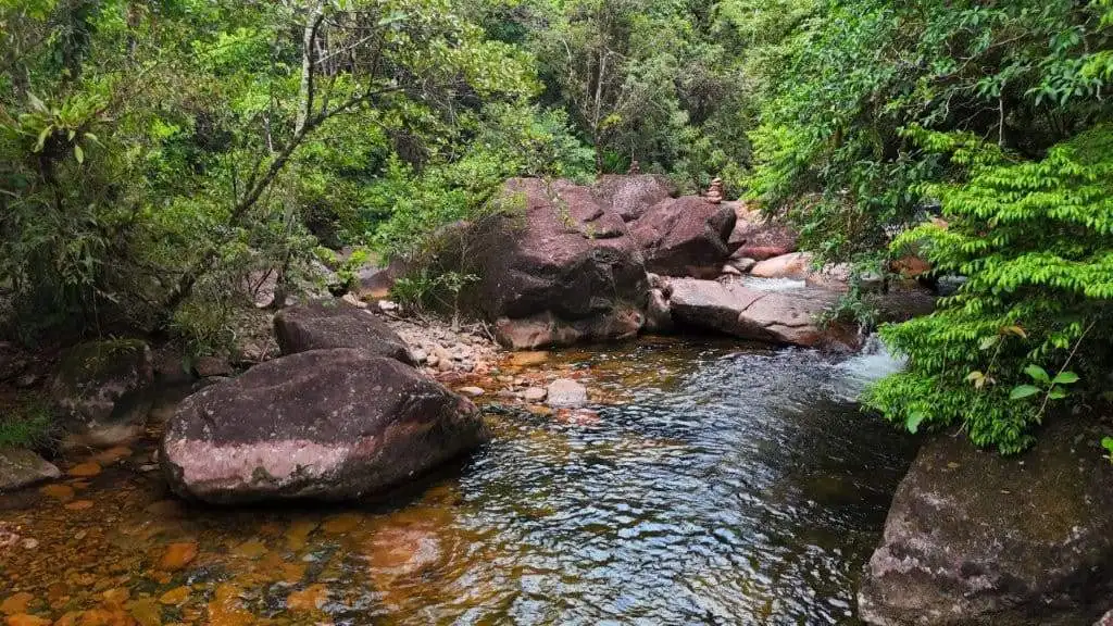 Scenic view of lush greenery and river on a prime property for sale.