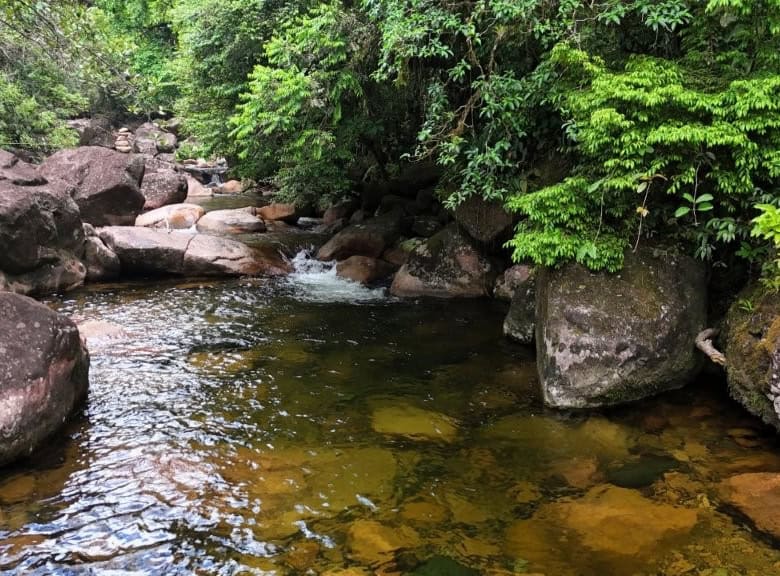 Beautiful land for sale in Pedra Branca do Araraquara, Paraná, featuring lush greenery and river acc.