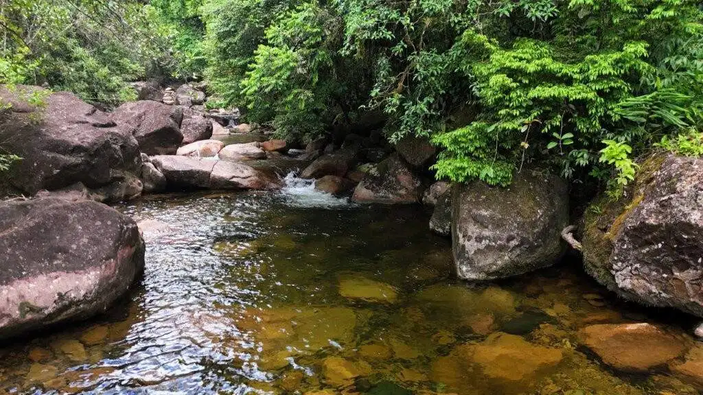 Beautiful land for sale in Pedra Branca do Araraquara, Paraná, featuring lush greenery and river acc.