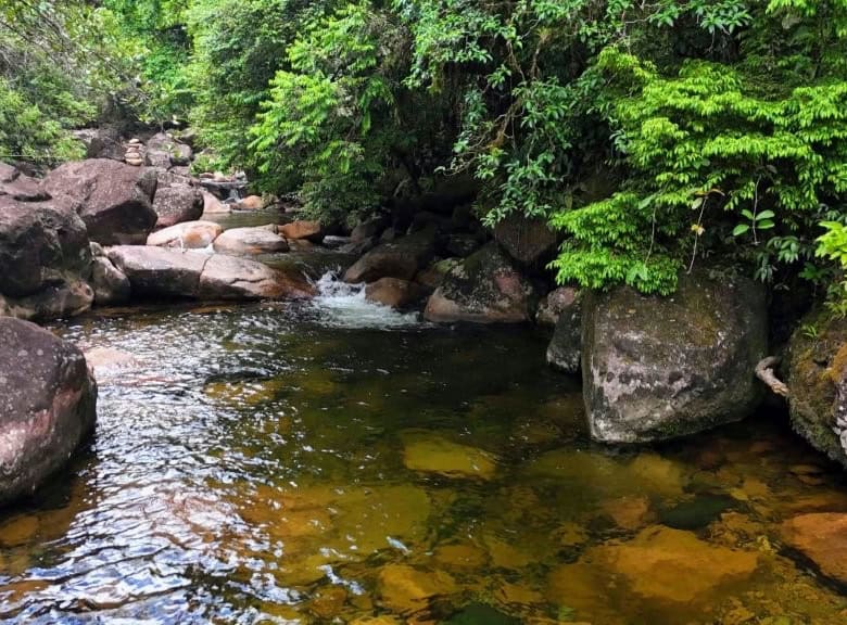 Land for sale in Pedra Branca do Araraquara, Paraná, Brazil, ideal for development or investment.