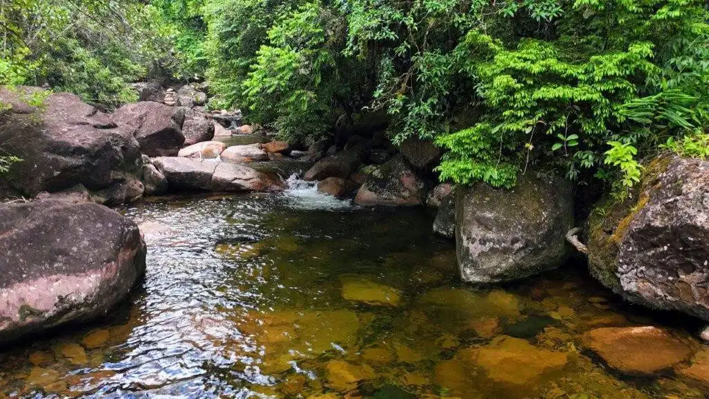 Land for sale in Pedra Branca do Araraquara, Paraná, Brazil, ideal for development or investment.