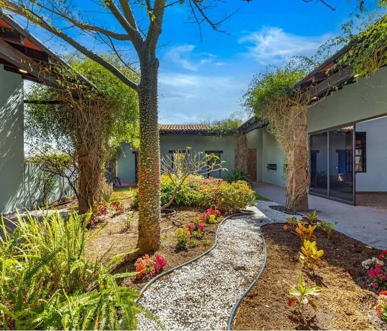 Beautiful courtyard with trees, plants, and a garden pathway.