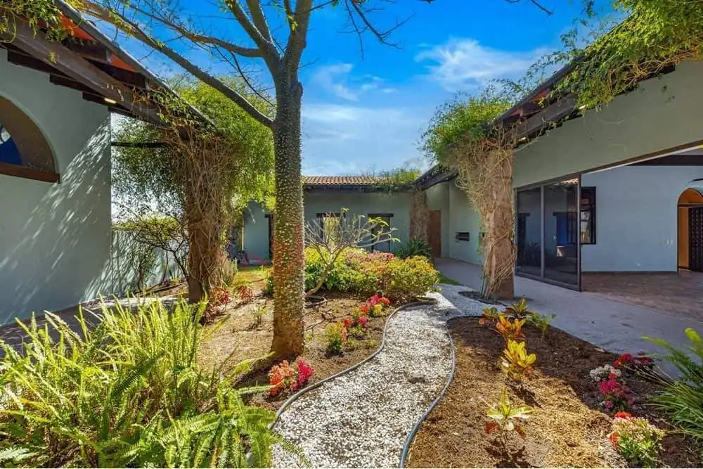 Beautiful courtyard with trees, plants, and a garden pathway.
