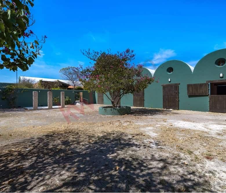 Traditional Mexican-style building with curved roofs and wooden doors.