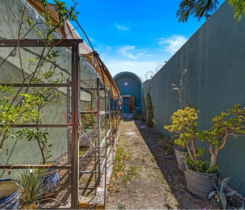 Garden pathway with plants and a greenhouse structure.