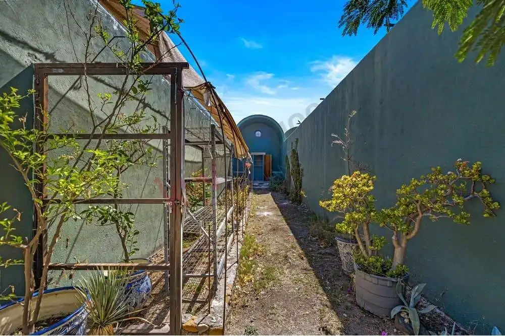 Garden pathway with plants and a greenhouse structure.