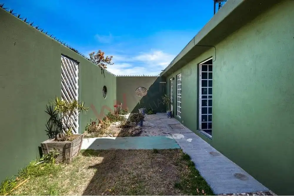 Modern green house exterior with garden and pathway under blue sky.