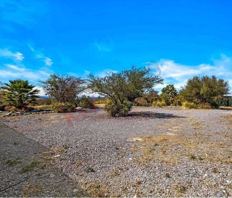 Desert plot with dry soil, scattered bushes, and trees under a bright blue sky, ideal for building o.