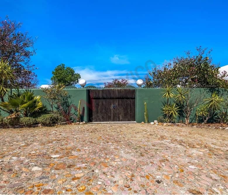 Modern garden entrance with lush greenery and a wooden gate.
