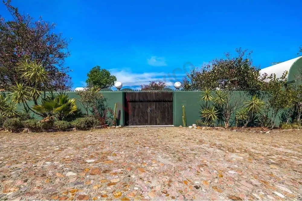 Modern garden entrance with lush greenery and a wooden gate.