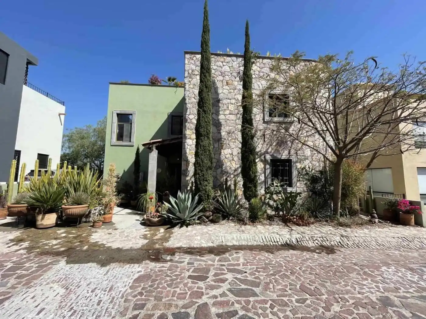 Beautiful Mediterranean-style house with stone and stucco facade, surrounded by lush plants and tall.