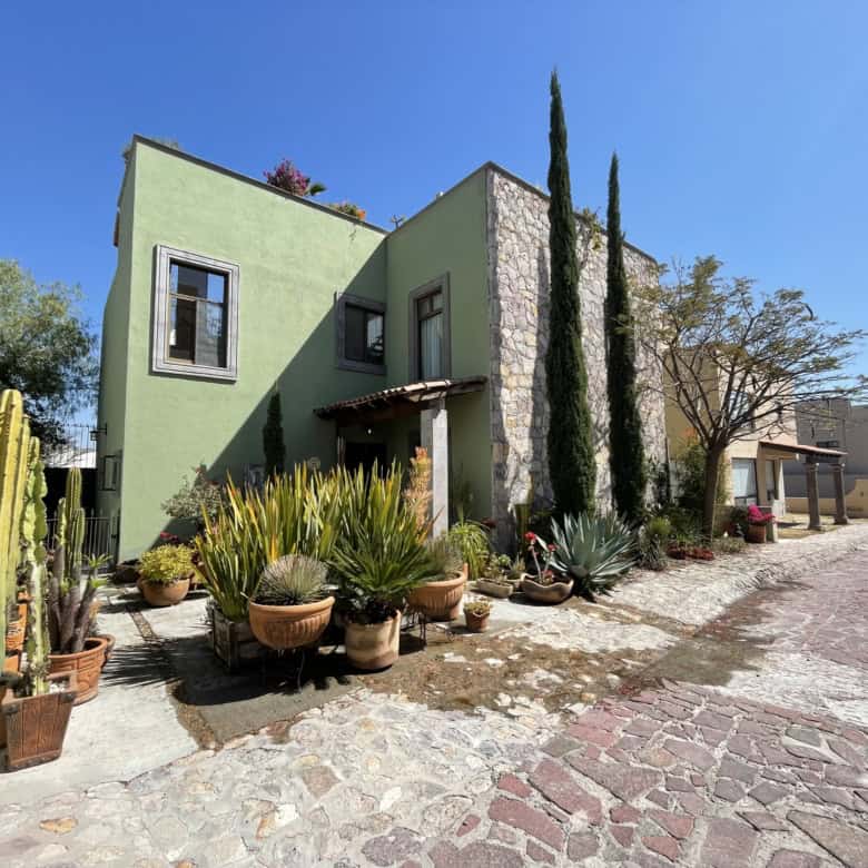 Modern green house with cacti and succulents in a sunny outdoor setting.