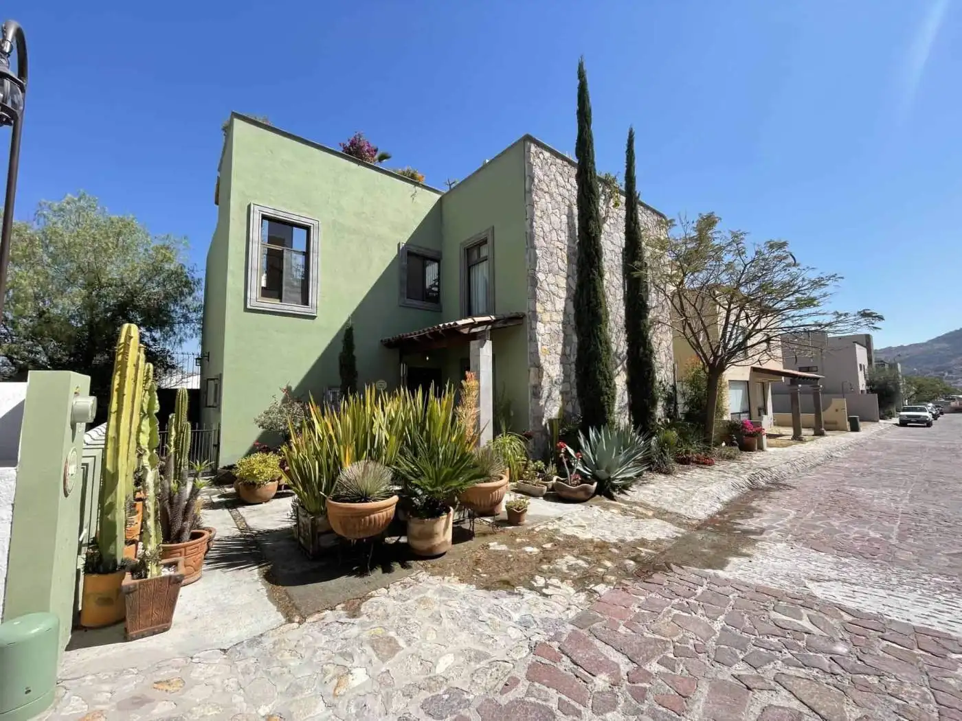 Modern green house with cacti and succulents in a sunny outdoor setting.