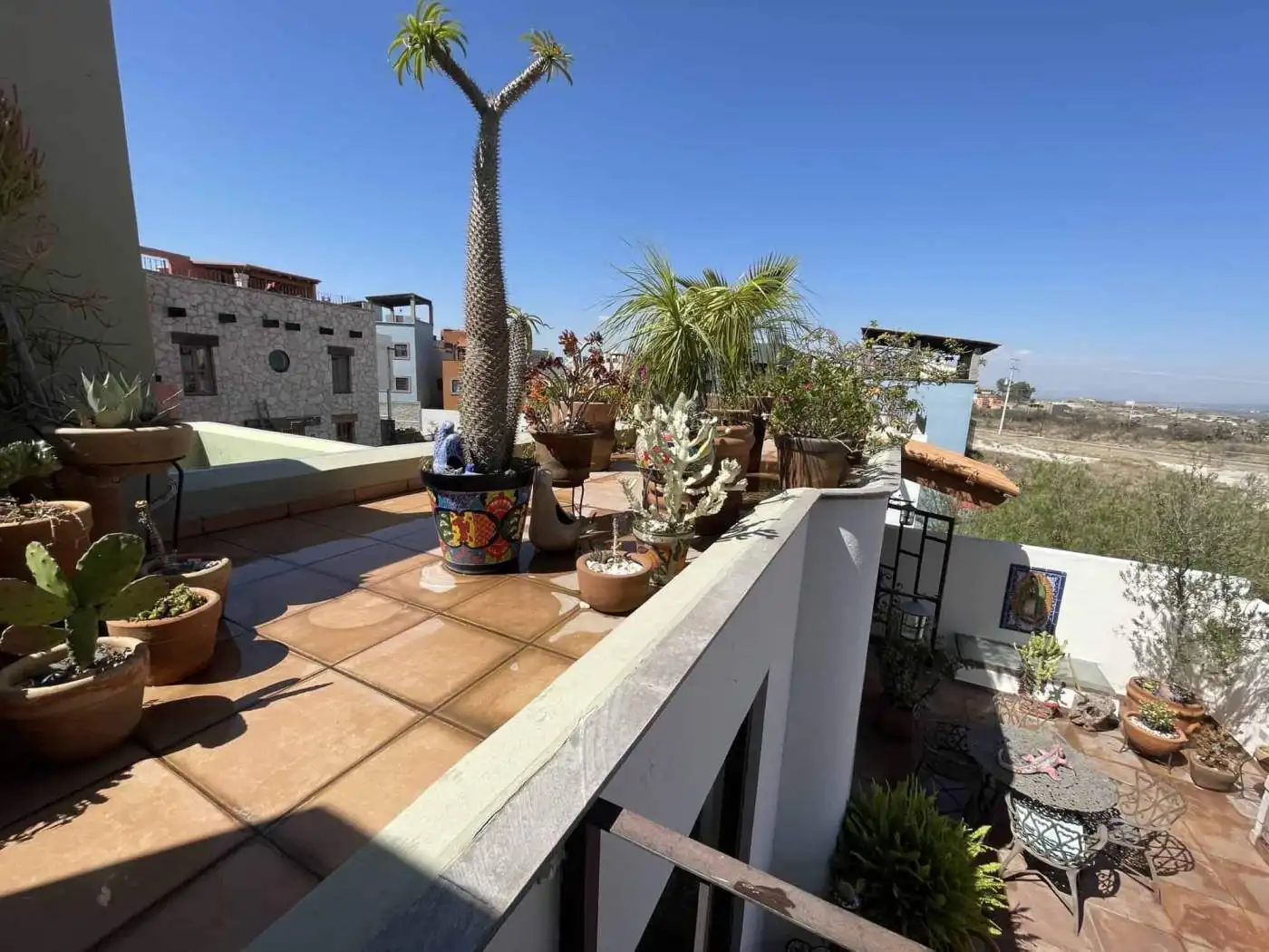 Rooftop terrace with lush potted plants, palm trees, and cityscape in the background.