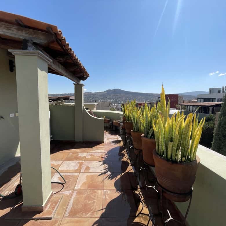 Spacious rooftop terrace featuring large potted succulents and scenic cityscape in the background. P.