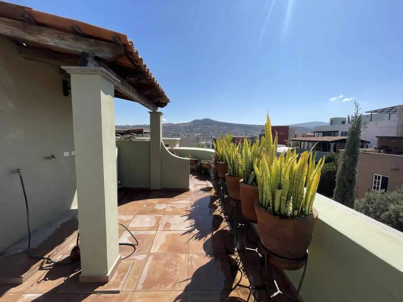 Spacious rooftop terrace featuring large potted succulents and scenic cityscape in the background. P.