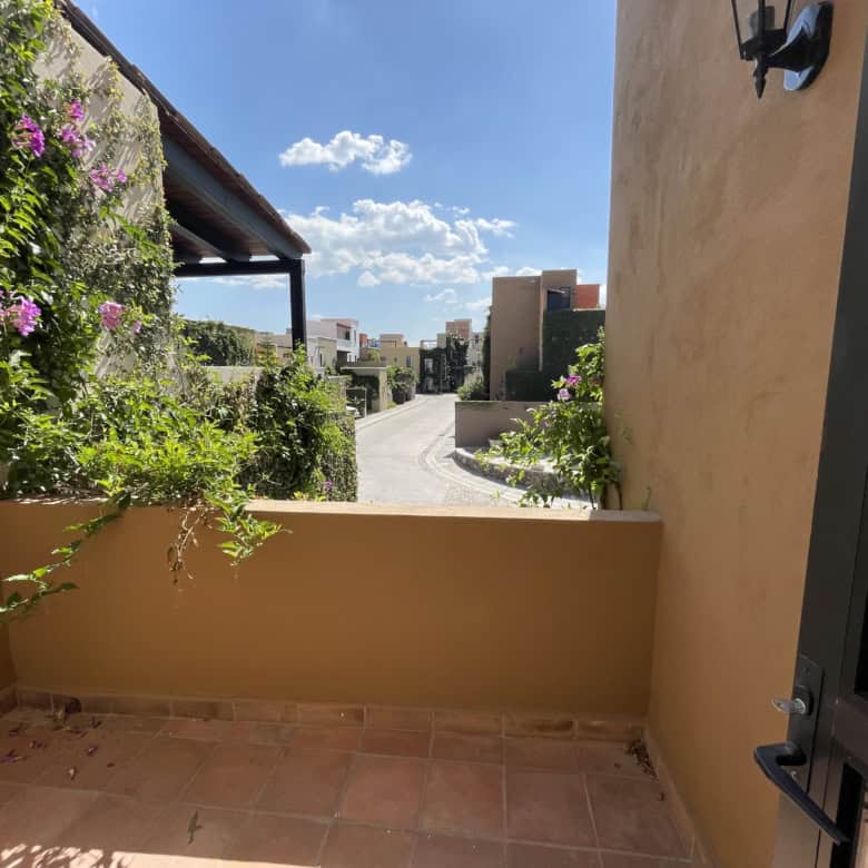 Balcony with lush greenery and colorful flowers overlooking a sunny street scene.